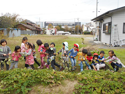 おいも畑へ01