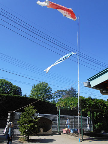 今年も