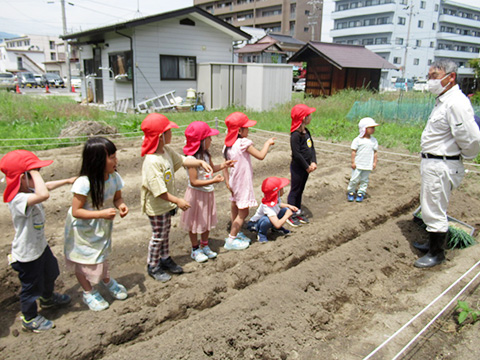 ねぎ植え01