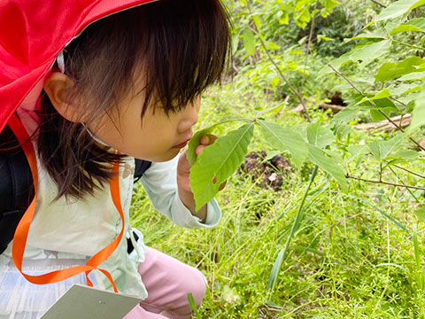 春の遠足04