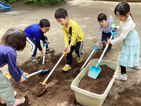 野菜の苗植え・種まき02