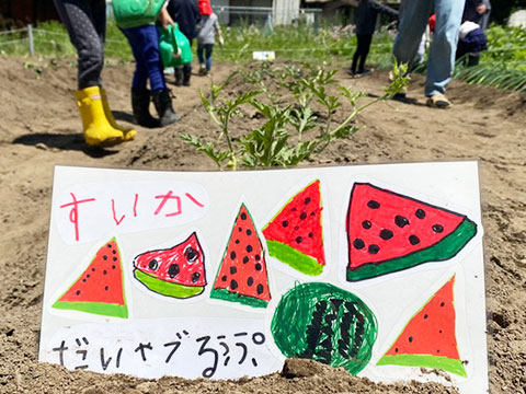 野菜の苗植え・種まき05