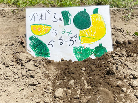 野菜の苗植え・種まき06