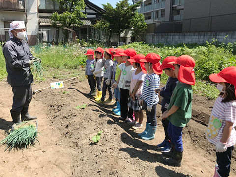 野菜の苗植え・種まき17