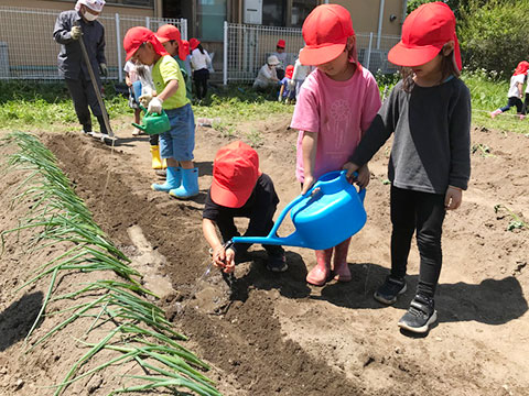 野菜の苗植え・種まき19