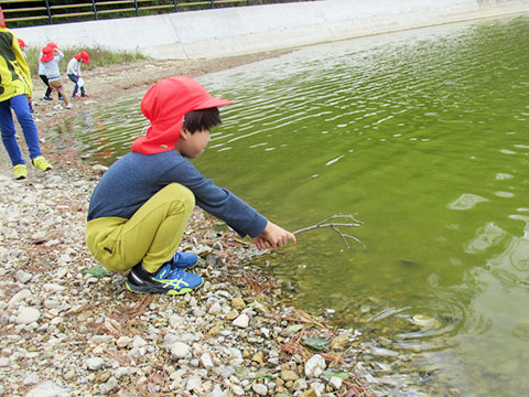 あるけあるけ遠足12