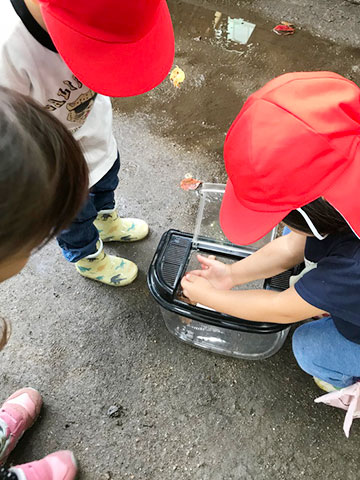 入園して1か月09