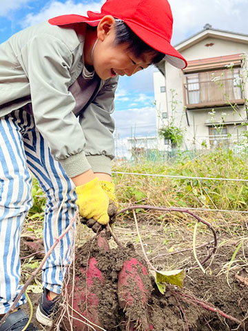 お芋掘り03