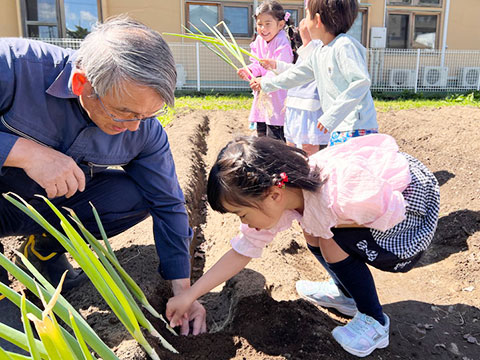 いちょうさんの野菜栽培08