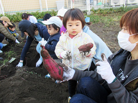 おいもほり07