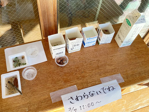 冬の遊び01