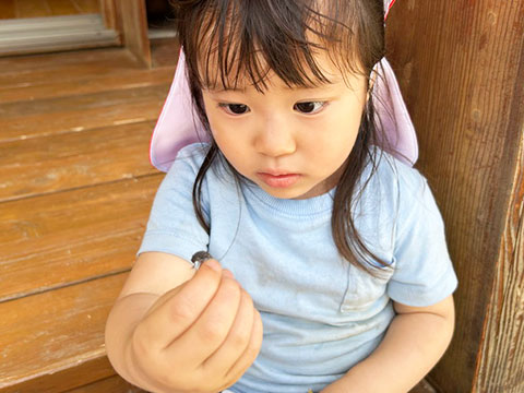 三歳児6月の様子-04