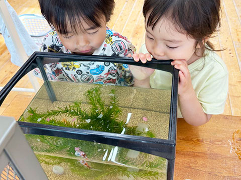 三歳児6月の様子-06