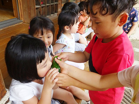 ７月の様子14