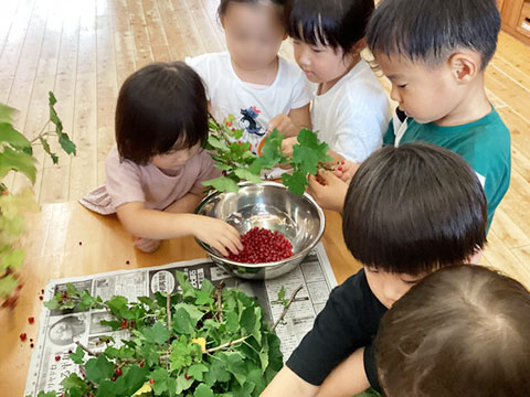 ７月の様子27