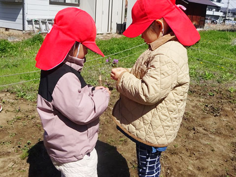 すみれさんになって07