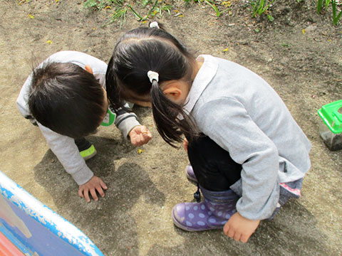 たんぽぽさん(年少児)の一日-01