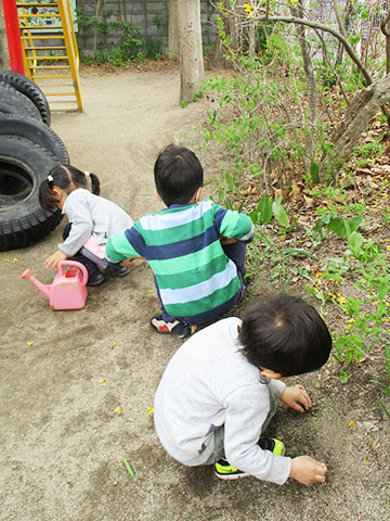 たんぽぽさん（年少児）の一日-11