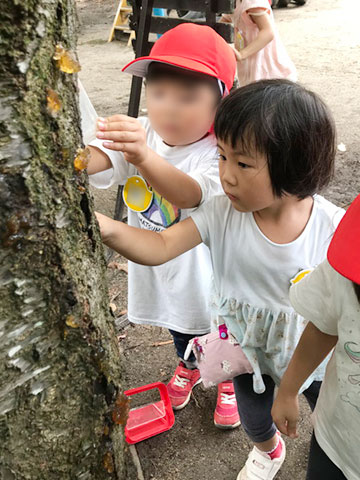 ２学期が始まりました01