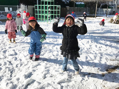 最近のいちょうさん01