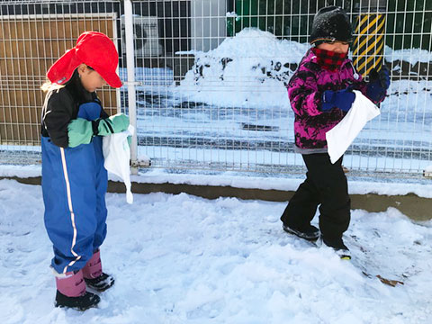 最近のいちょうさん05