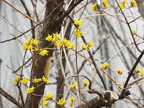 卒園までの日々01