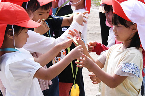 運動会-45