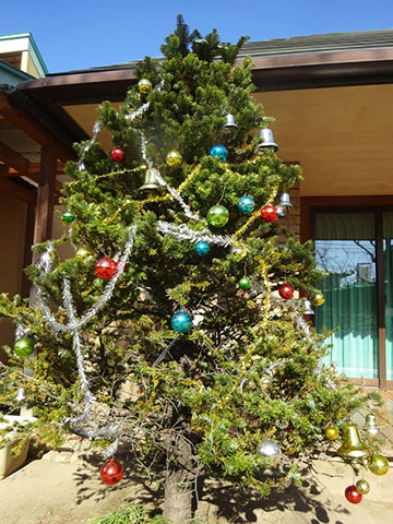 アドベント第2週目07