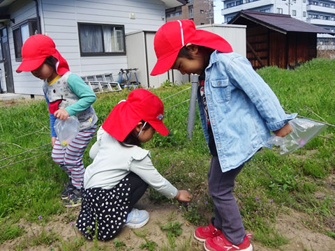 ４月のすみれさん01
