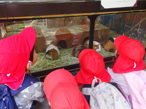 春の遠足03