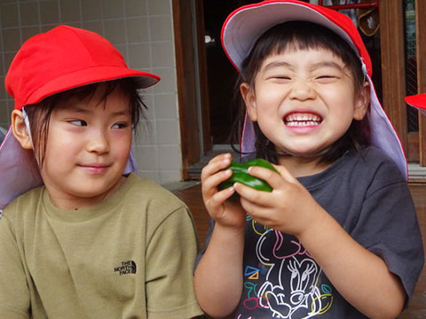 野菜の収穫06